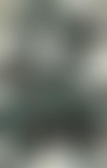 Opera Figure (preview)