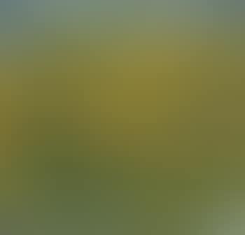 Autumn Landscape (preview)
