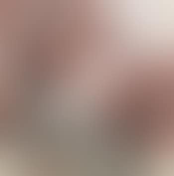 Plum Blossoms (preview)