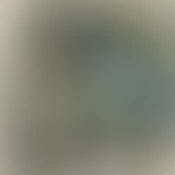 Still Life (preview)