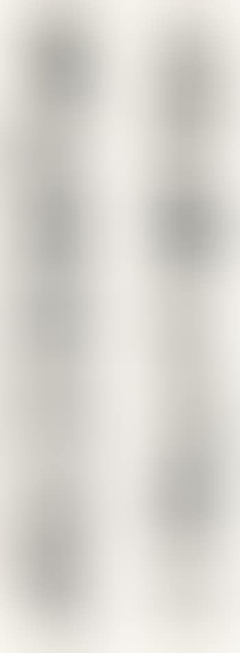 Calligraphic Couplet (preview)