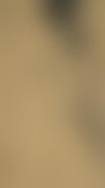 Bird on a Tree Branch (preview)