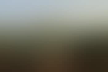 Tuscan Landscape (preview)
