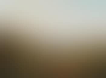 Vast Landscape With Sheep (preview)