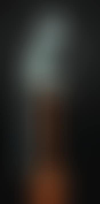 Singe Attentif (preview)