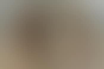 Coney Island Beach, No 2 (preview)