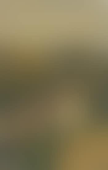View From Studio (preview)