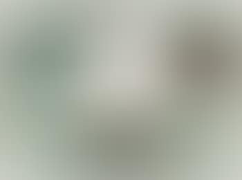 Untitled (face) (preview)