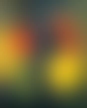 Composition abstraite (preview)