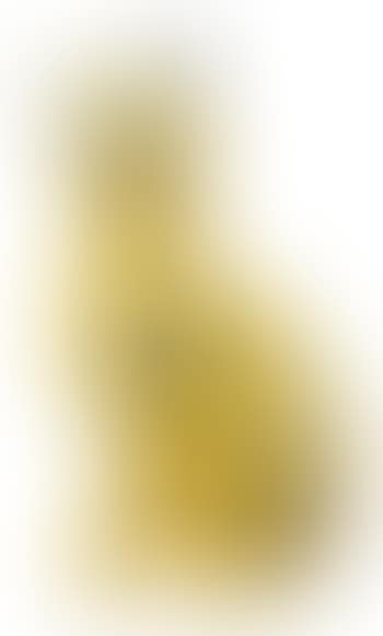 Chat [Cat] (preview)