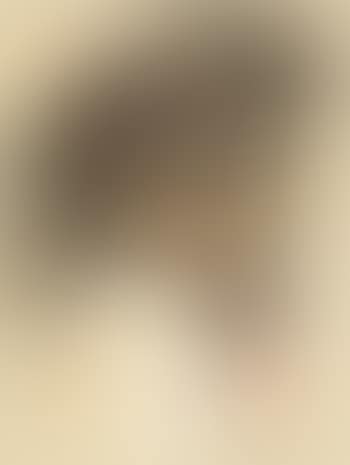 Composition (preview)