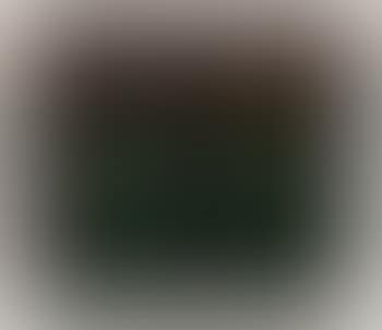 Windows (preview)