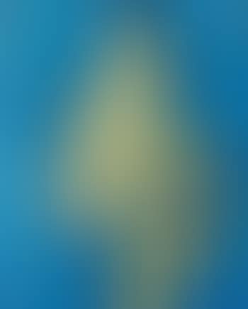 White Yucca (preview)