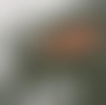 Tisch Mit Umgekippter Kanne I (preview)