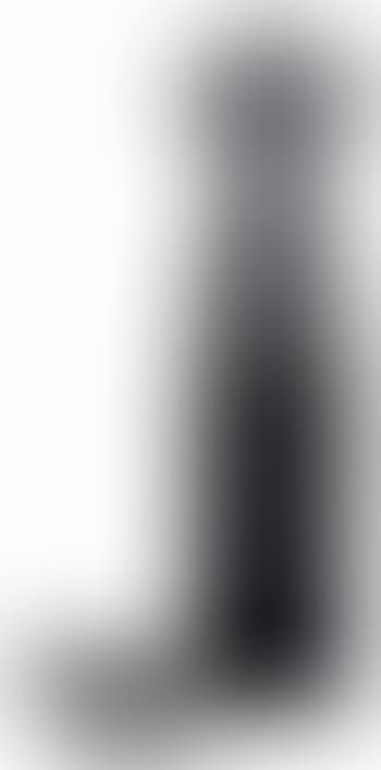 Kvindetorso og objekt (preview)