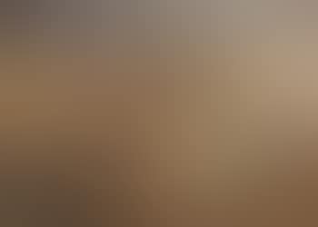 Pheasants in an autumnal wooded landscape (preview)
