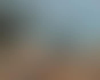 Goat Herders in a Middle Eastern landscape (preview)