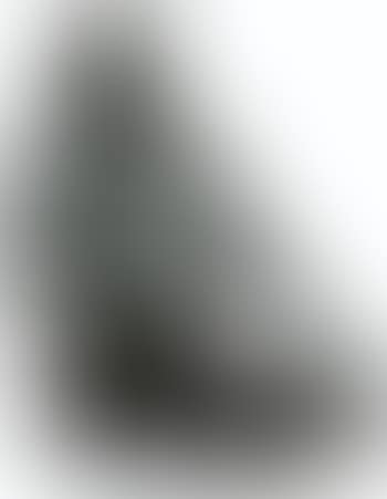 Très Grand Singe Avisé (preview)