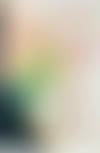 Métamorphose (preview)