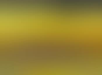 Spanish landscape (preview)