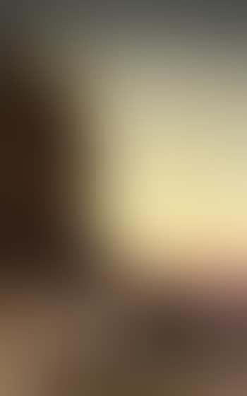 L'embuscade / The ambush (preview)