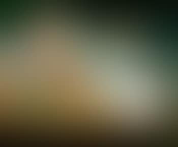 Composition (preview)