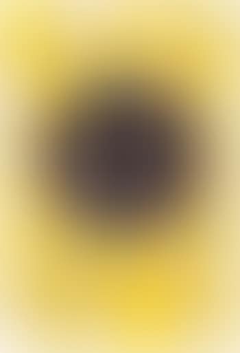 Ohne Titel (Good Luck) (preview)