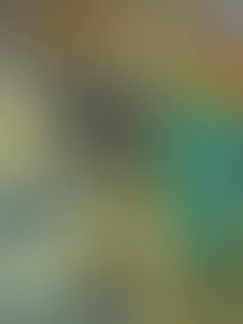 Ohne Titel (Preussisches Stilleben) (preview)