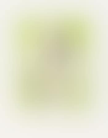 Vollmond Im Widder (preview)