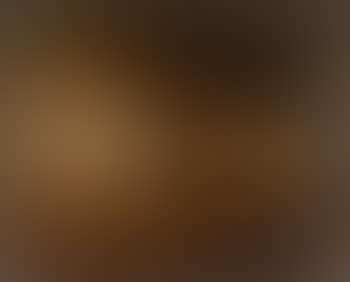 A group of Four Prize Cattle (preview)