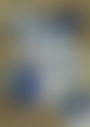 Figure And Birds (preview)