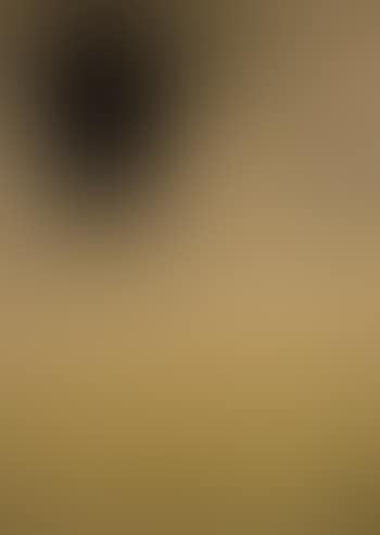 Concetto spaziale (preview)