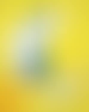 Composizione A4 (preview)