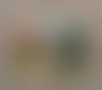 Calvados (preview)