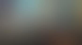 Grande natura morta con Tour Eiffel (preview)