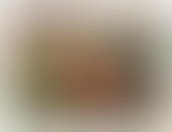 Bauernhaus (preview)