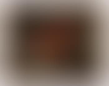 Still life (preview)