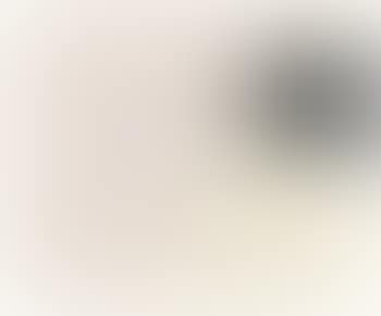 Bild mit schwarzem Keil (preview)