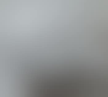Willows (preview)