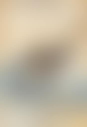 A Black-Tailed Godwit (Limosa Melanura) (preview)