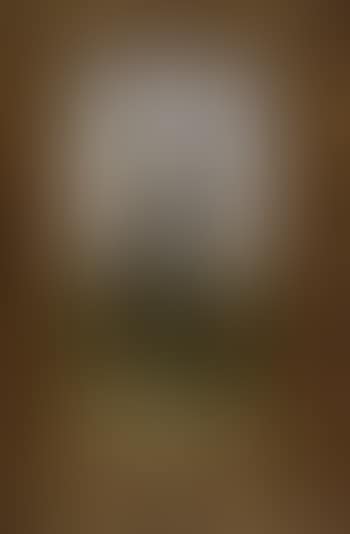 Male cotton picker with basket on his head (preview)