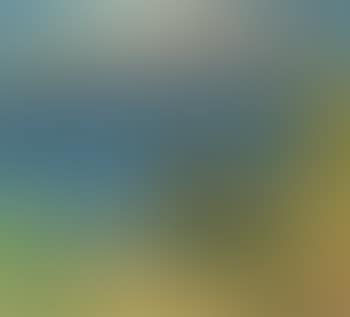 Blick aufs Meer (preview)