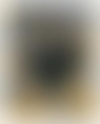 Schwarze Beeren (preview)