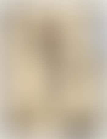 Der Neue Mensch (preview)