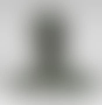 Second Portrait Of Pandit Nehru (Bust) (preview)