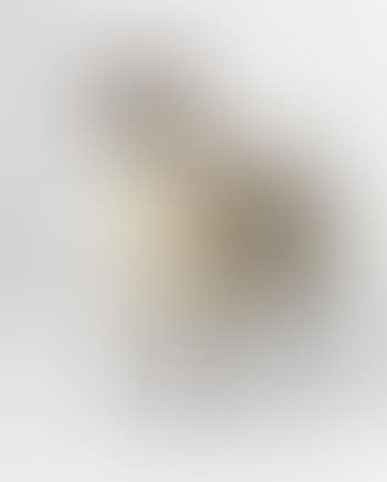 Brebis (preview)