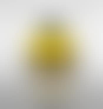 Vase (preview)