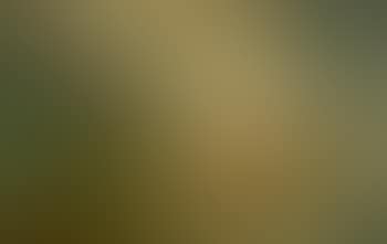 Angolo di luce [Light corner] (preview)