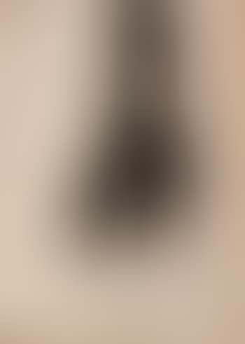 Mercy Hunter's Afghan hound (preview)