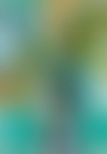 Baum (preview)